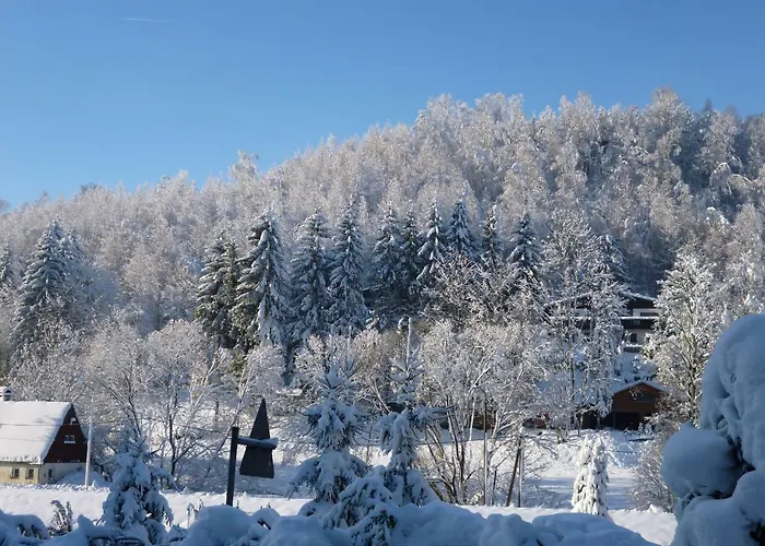 Apartment Wohnen Beim Kunsthandwerker Neuhausen (Saxony)